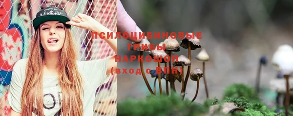 молекула духа Армянск