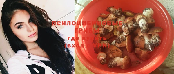 прущая мука Арсеньев