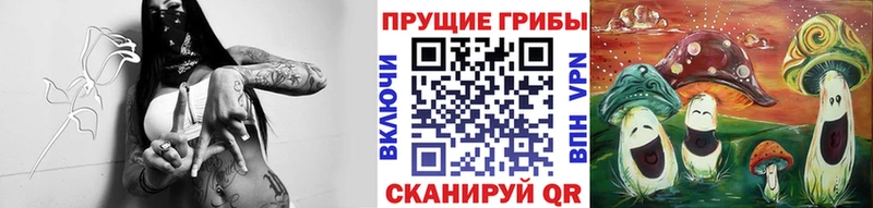 Псилоцибиновые грибы Psilocybe  Лобня 